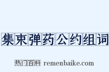 集束弹药公约组词是什么意思的图片